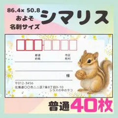 NEW【シマリス】宛名シール　差出人シール　普通サイズ　40枚　シンプル　動物