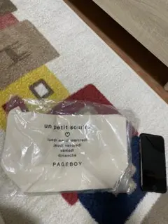 Item thumbnail for item f0b8d0e6-26ef-4f85-aa02-d2a1712dc6c0