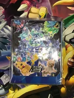 韓国 KOREAN REAGUE デッキケース