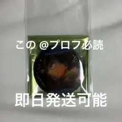 鬼滅の刃 無限城編 ものがたる眼差し コレクション缶バッジA 冨岡義勇 痣