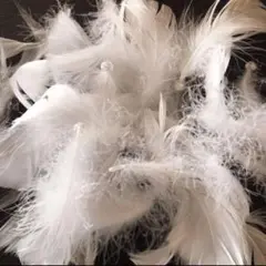 ʚ♥ɞ半分クリスタルビーズ付きフェザーシャワー(痛くない)ʚ♥ɞ100枚