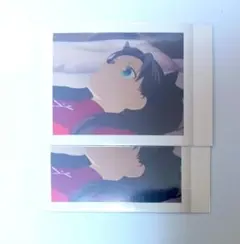衛宮さんちの今日のごはん　ぱしゃこれ　遠坂凛　2枚セット