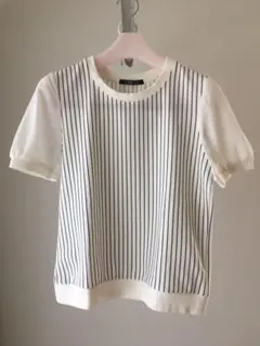 Tシャツ 半袖 ストライプ