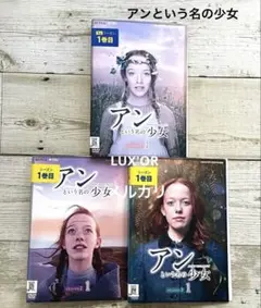 【レンタル落ち】アンという名の少女 SEASON 1.2,3 DVD 全巻 81UX0LqVeKL.jpg