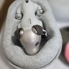 Sony aibo ERS-1000アイボリーホワイト 中古ジャンク品 - メルカリ
