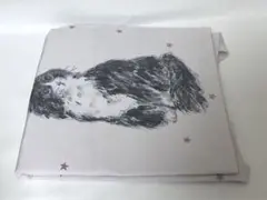 Item thumbnail for item ef1367d5-21c6-4a55-93f5-3de9b0556fa2