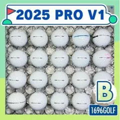 ロストボール タイトリスト PRO V1 Bランク 171 2025 おまけ付のサムネイル