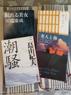 お好きな3冊選んで下さい (川端康成 太宰治 三島由紀夫 夏目漱石他)