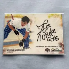 Item thumbnail for item bcb5c044-306f-4f81-8d81-2b5ef41584ec