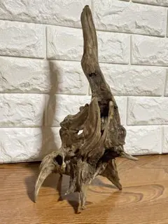 大型流木 35×15×13cm ホーンウッド no.214