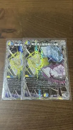 2026年最新】パーフェクトペテンシーの人気アイテム - メルカリ