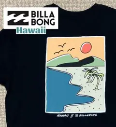 [美品 ハワイ]BILLABONG ビラボン バックプリントTシャツ レア