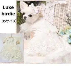 luxebirdieアデルSSワンピジャケットバレッタ3点セットリュクスバーディ 楽天市場】リュクスバーディの通販