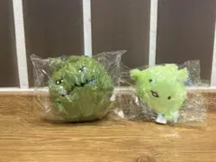 モリゾーとキッコロ ぬいぐるみ ガチャ　新品未開封　Aセット