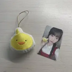 アヒルマスコットとフォトカードセット