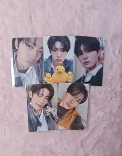 ald1 サンヒョン 5枚セット