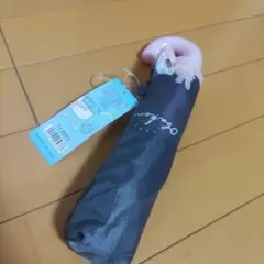 Item thumbnail for item f149fabe-60ba-41be-838c-9daf3e62cd94