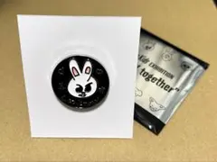 スキズ skzoo リービット 展覧会 ランダムピンバッチ