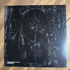 2025年最新】レコード tha blue herbの人気アイテム - メルカリ