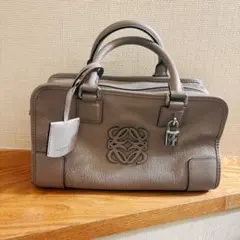 超希少カラー LOEWE アマソナ28 ハンドバッグ ナッパレザー マルチ 