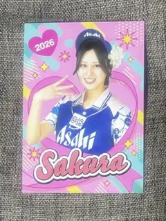 PayPayドーム ホークス 最新版 アサヒビール 売り子カード なつきさん