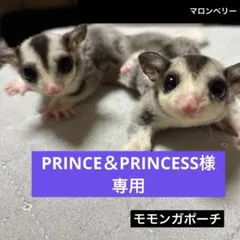モモンガ 夏用 接触冷感 三角ポーチ ハウス おうち Mサイズ ハンドメイ