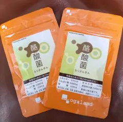 オーガランド 酪酸菌 サプリメント 1ヶ月分×2袋　約2カ月分セットのサムネイル