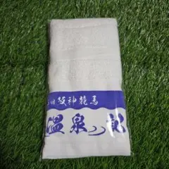 Item thumbnail for item 976ff727-d213-451a-8f0b-40e44c0834e9