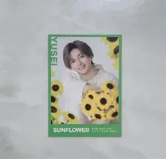 FANTASTICS ファンタ 八木勇征 フォトカード シクレ シークレット