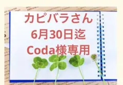 2026年最新】カピバラさん ぬいぐるみの人気アイテム - メルカリ
