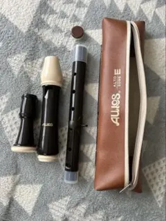 Item thumbnail for item 4920382d-6c08-40d4-beb6-c2e1361f82c2