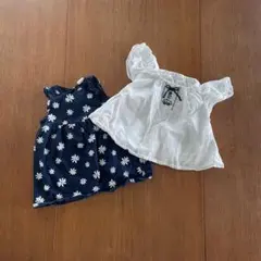 Item thumbnail for item c5dd101c-99ee-45c1-9441-79a9f9ba1c4a