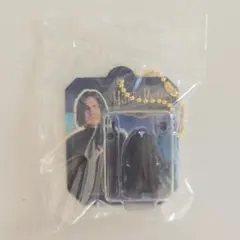 ハリー・ポッター ブリスターチャームコレクション セブルス・スネイプ