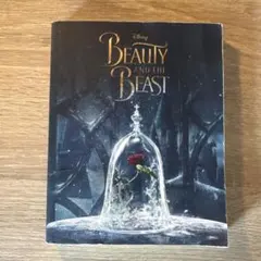 Disney Beauty and the Beast 洋書