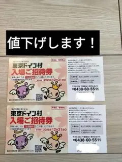 2枚【ミニレター】東京ドイツ村 ドイツ村 招待券 チケットのサムネイル