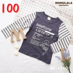 【トップス】新品１００子供/春秋/薄手/男の子/長袖/Tシャツ(89598)B