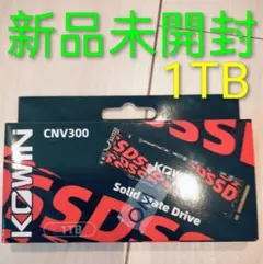 KOWIN CAS100 1TB SSD 2.5インチ | Mercari