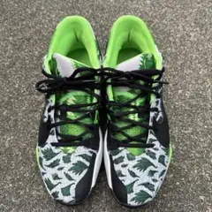 NIKE zoom フリーク2 NAIJA グリーン