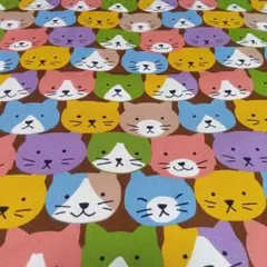 オーダー承り中です。ラミネート　うさねこ　マスタード　クリーム　ネコ柄 オーダー承り中です。ラミネート うさねこ マスタード クリーム ネコ柄