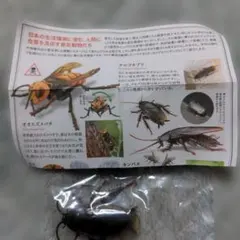 人間に危害を及ぼす節足動物　匿名配送