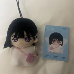 エイステ スア ぬい