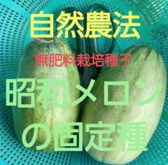 のん様 リクエスト 3点 まとめ商品