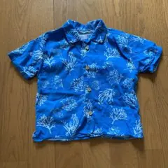 Item thumbnail for item 178a60c8-f617-46d7-b88d-94e6e8781a4b