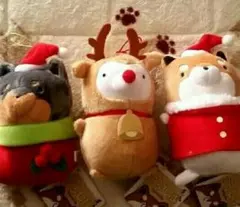 たるしば クリスマスMC