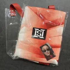 Item thumbnail for item 055e9132-b9b7-4696-8993-c0b95aacb76a