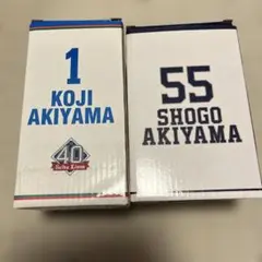 福岡ダイエーホークス 秋山幸二 2000本安打記念ミニバット サインボール印刷 福岡ダイエーホークス 秋山幸二 2000本安打記念ミニバット