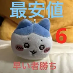 ハチワレ‼️