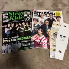 ⚠️廃棄予定⚠️Stray Kids 雑誌2冊セット 特集号
