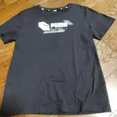 PUMA 黒 Tシャツ サイズ140少しタイト