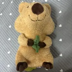 2026年最新】クォッカの人気アイテム - メルカリ